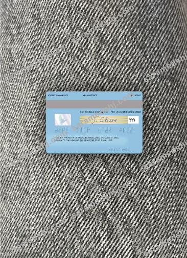 USA CIBC Bank visa card photolook back